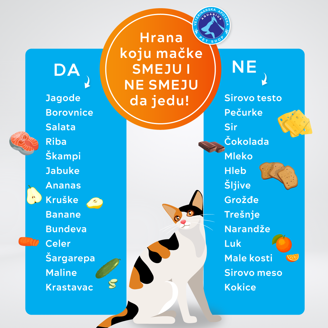 Hrana koju mačke ne smeju da jedu