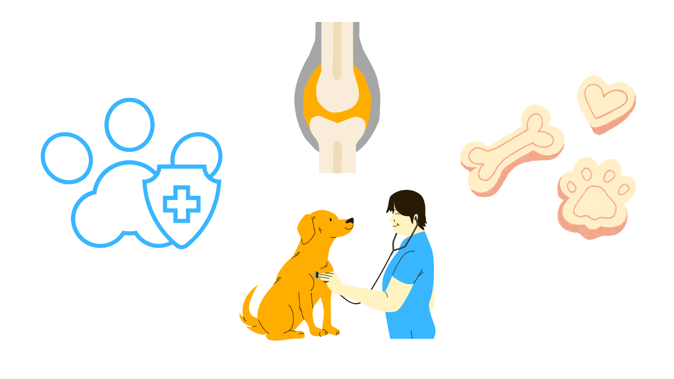 Minut sa veterinarom o bolovima u zglobovima kod pasa