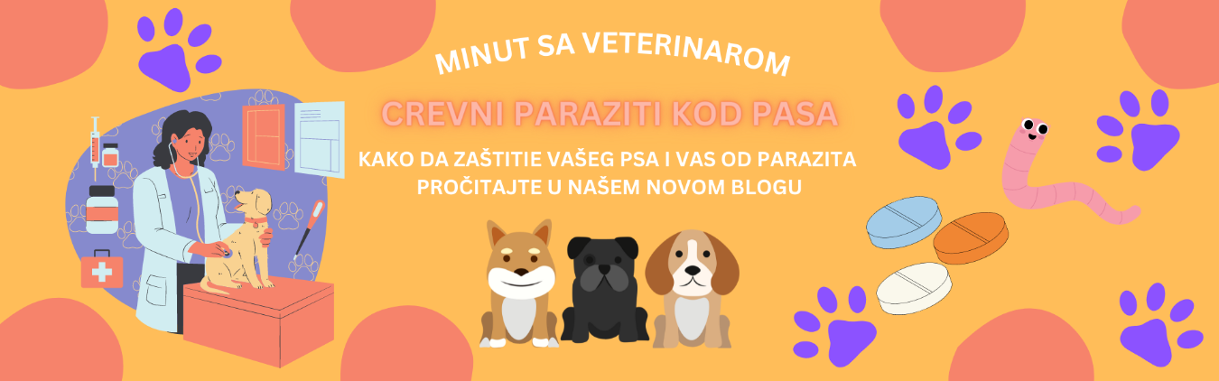 Minut sa veterinarom o crevnim parazitima kod pasa