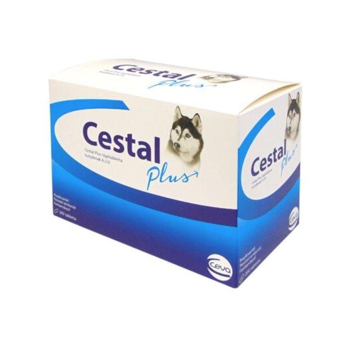 Cestal plus za pse
