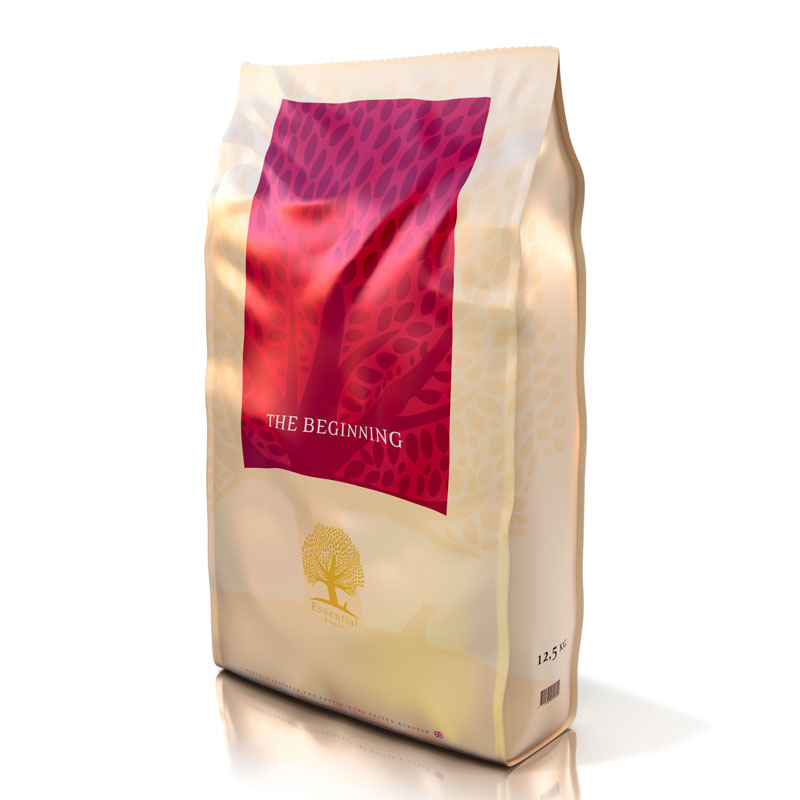 Essential the beginning 