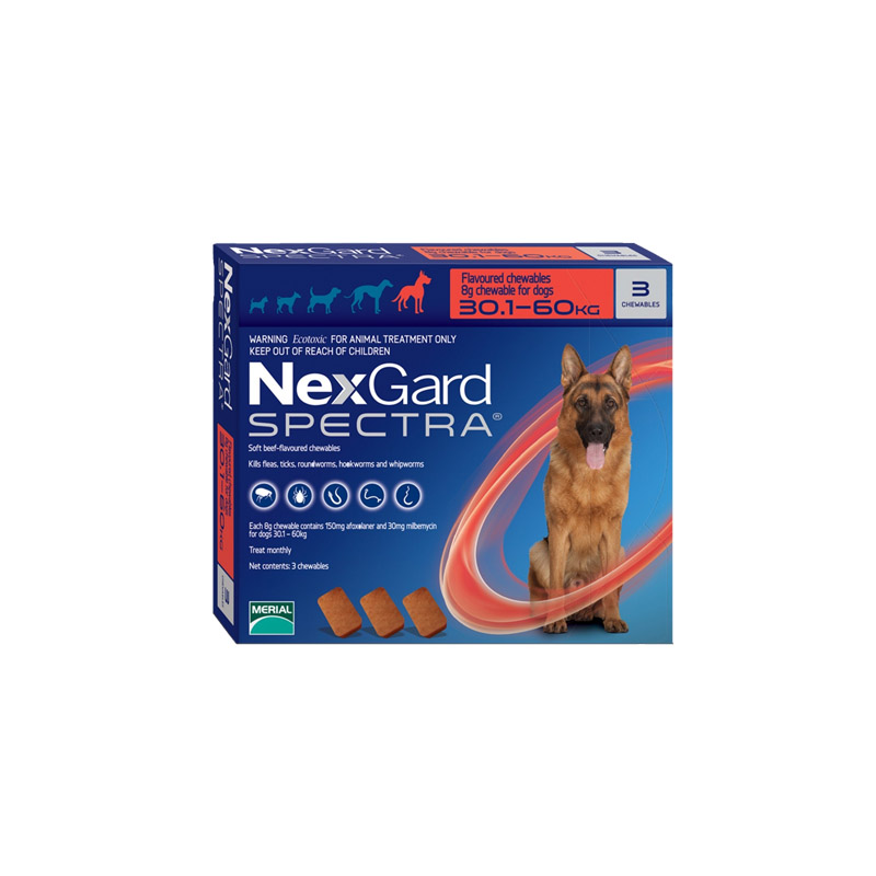 Nexgard spectra 