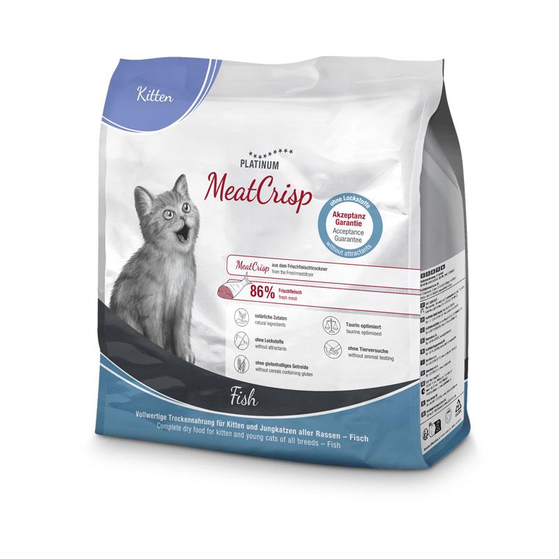 Platinum cat kitten riba