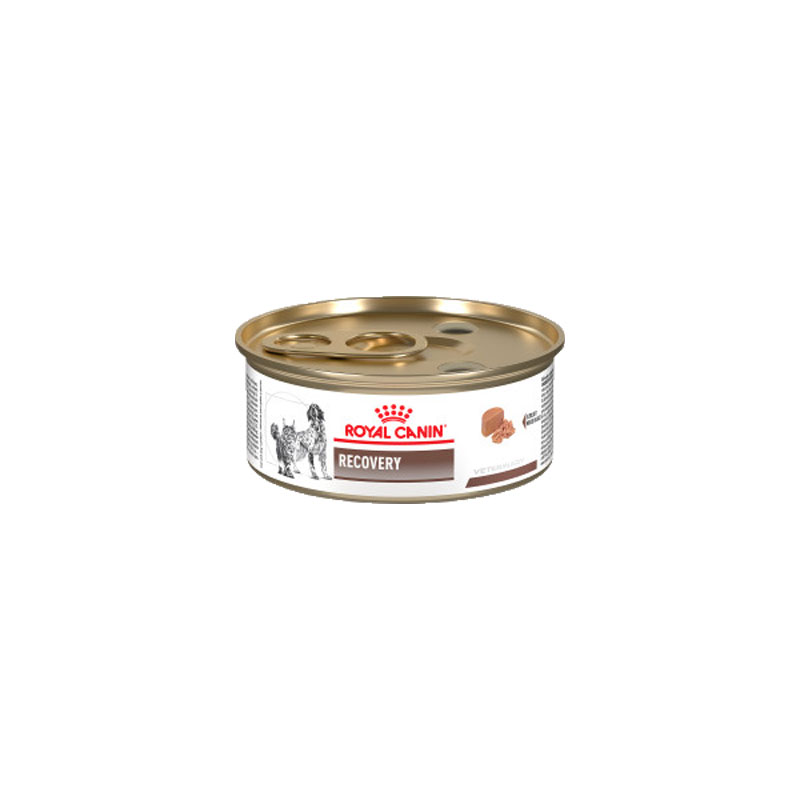 Royal canin recovery dog/cat konzerva 195g