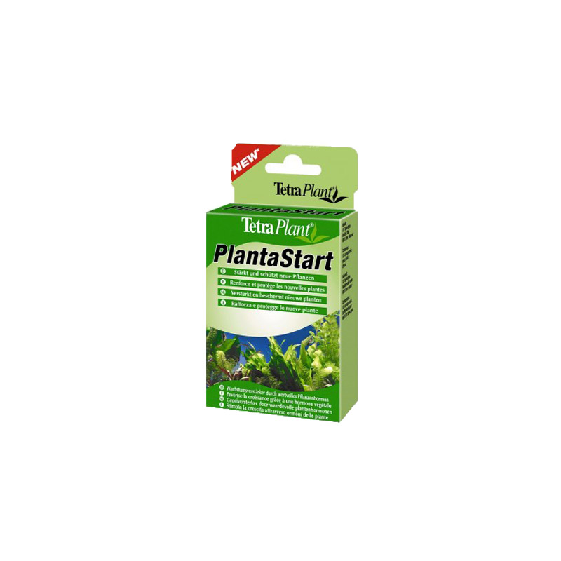 Tetra planta start 