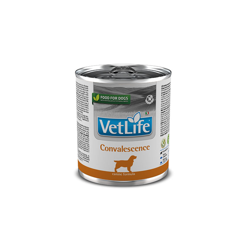 Vet life covalescence dog 300g