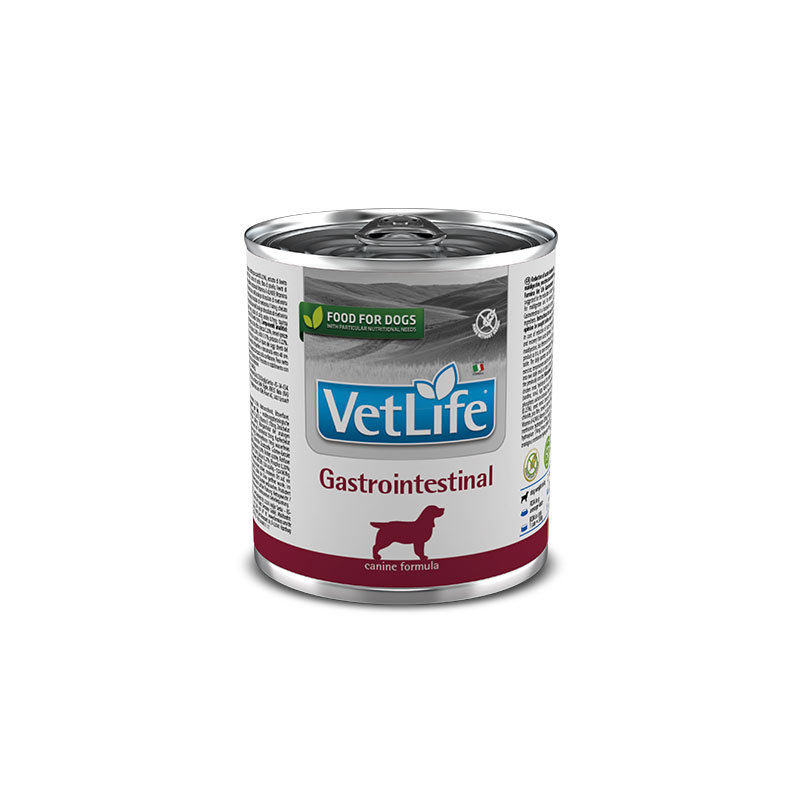 Vet life gastrointestinal dog 300g