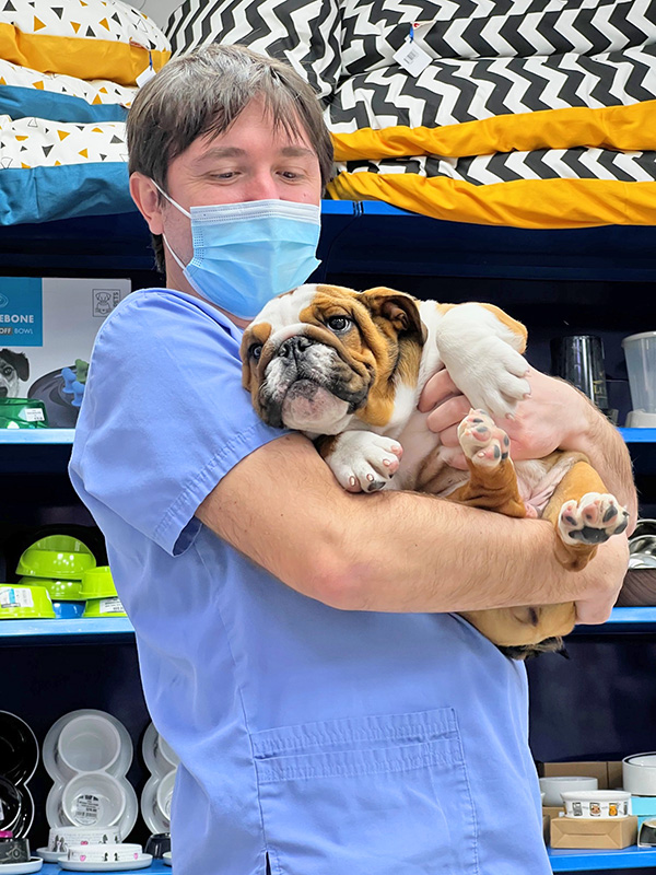 Veterinarska ambulanta